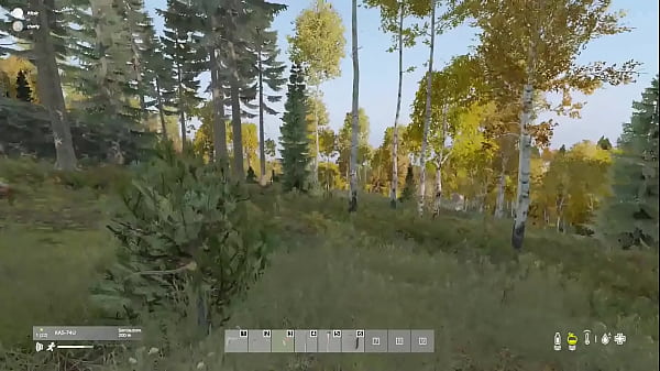 hombre coito con oso  peludo