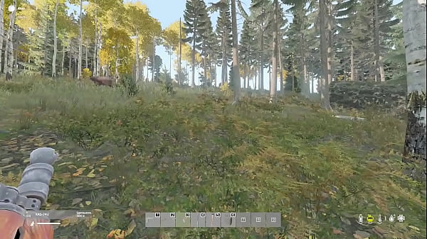 Hombre coito con oso peludo