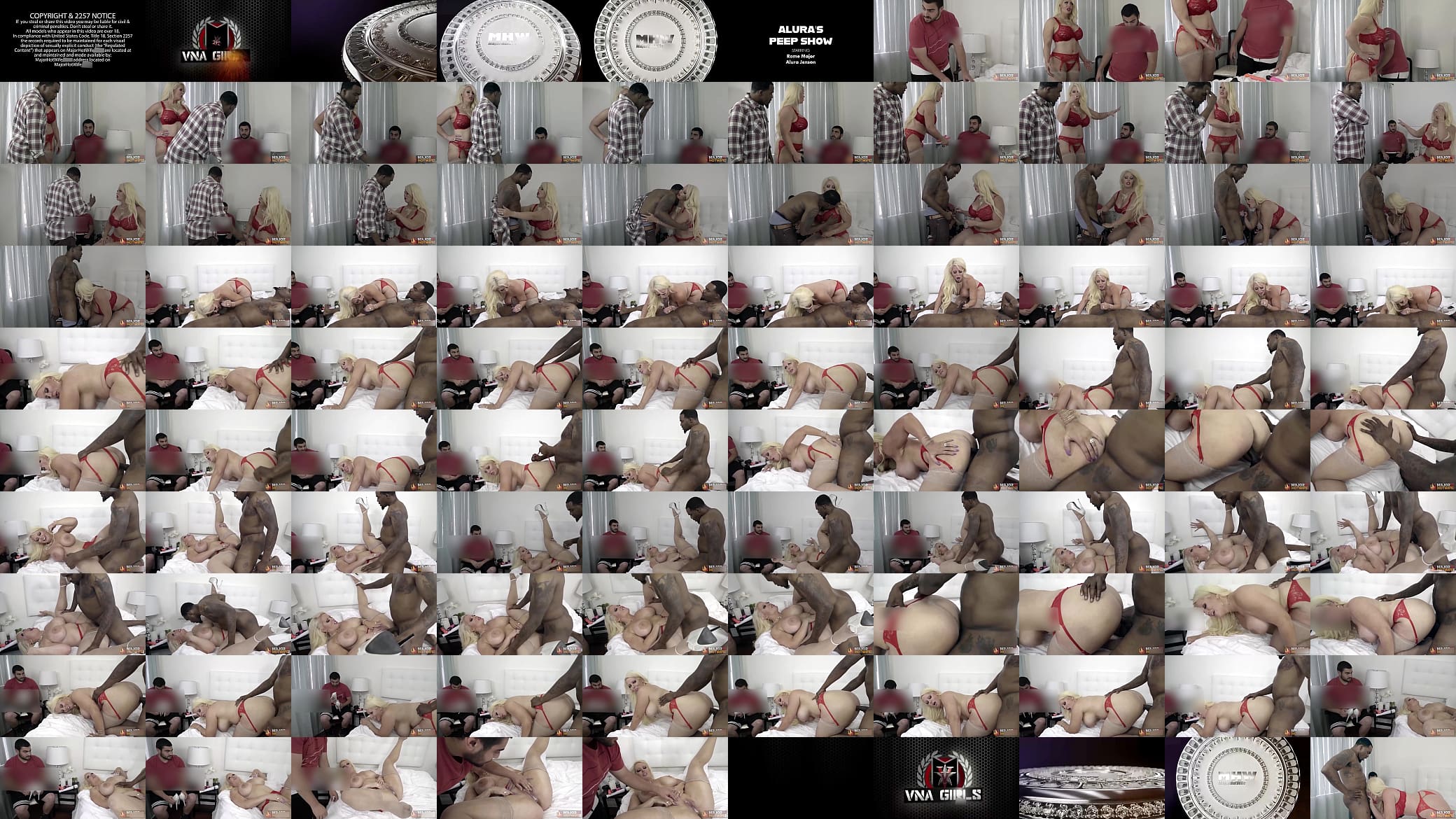MILF Hottie Alura Jenson Gets Banged By Rome Major Giving A Peep Show! 预览图