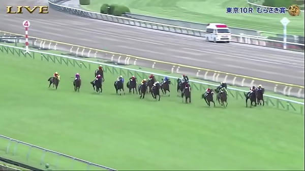 みんなのKEIBA 2025年6月1日 日本ダービー▼7950頭の頂点へ！生涯一度の夢舞台を拡大放送
