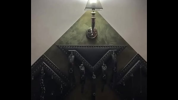 We had the wildest night at Der Gutshof. What do you think happened here??