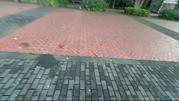 saliendo de la universidad con compa&ntilde;ero me invita a comer luego pago asi