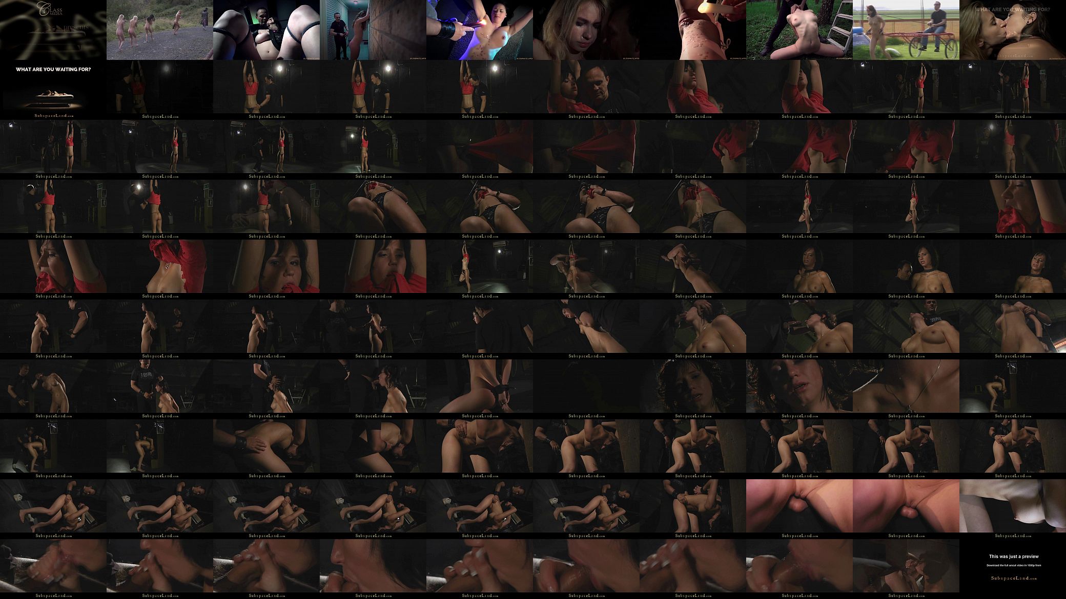 Teen slave in bondage sucking dick and cum 预览图