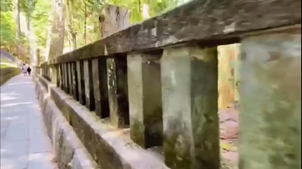 Nikko Monkeys and Tochigi's Hot Springs