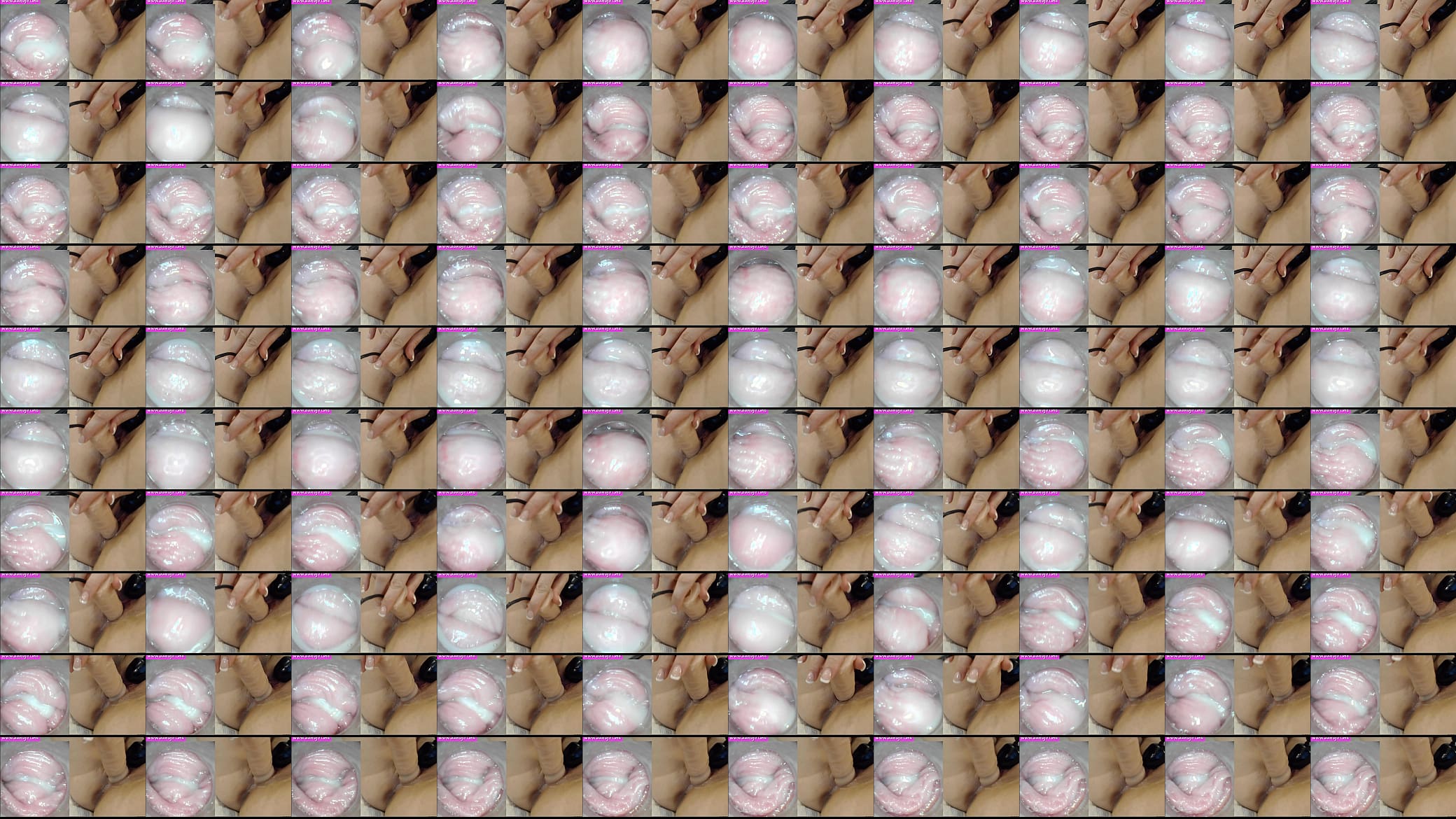 CAMERA DENTRO DA BUCETA  Fap 预览图