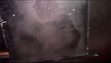 Four naughty sisters go to a swingers club and have sex with strangers without condoms in the glory hole, including cum in their vaginas - full version on Red