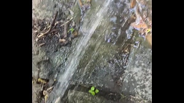 Tiatinkles - Outside Tinkles - IMG 2891 - Aug 12, 2025