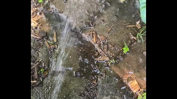 Tiatinkles - Outside Tinkles - IMG 2891 - Aug 1...