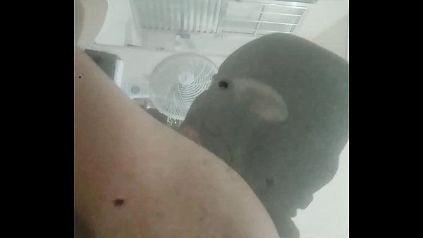 Download Video - Novinho comendo veado
