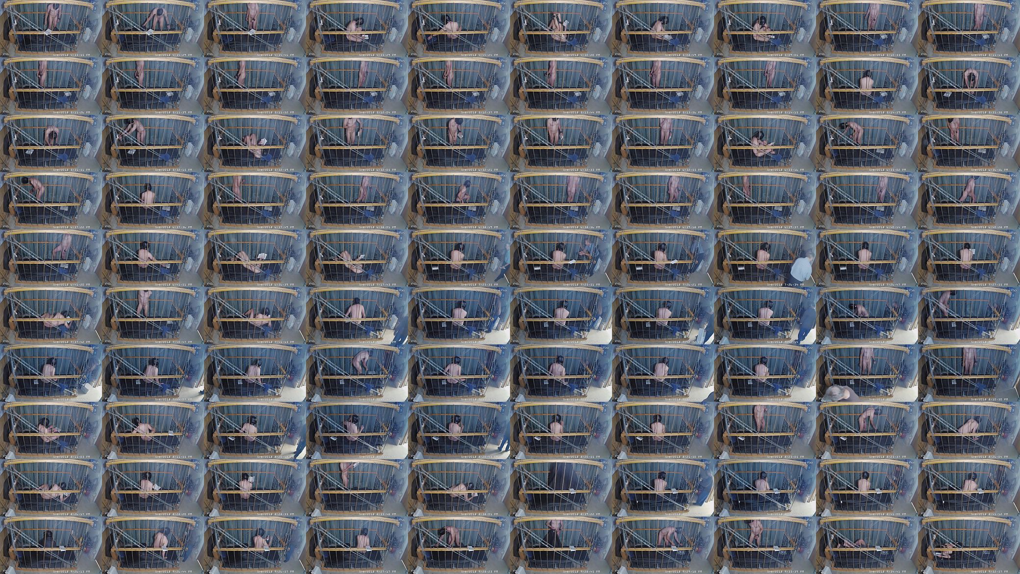 The Cagecam  a non-edited downloaded feed from &quot;the cage&quot; 预览图