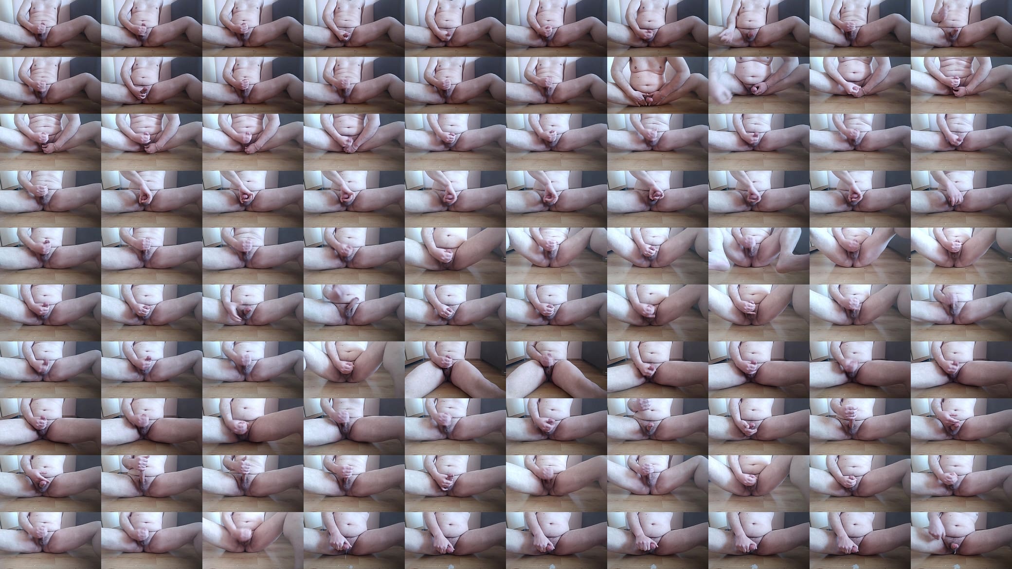 Big Hairy Cock Squirting 预览图