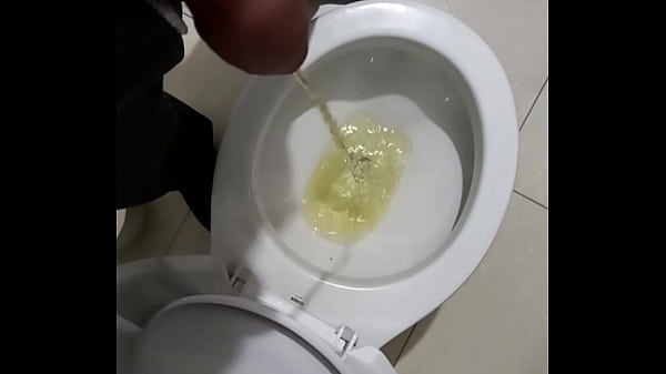 Download Video - No banheiro rapidinho