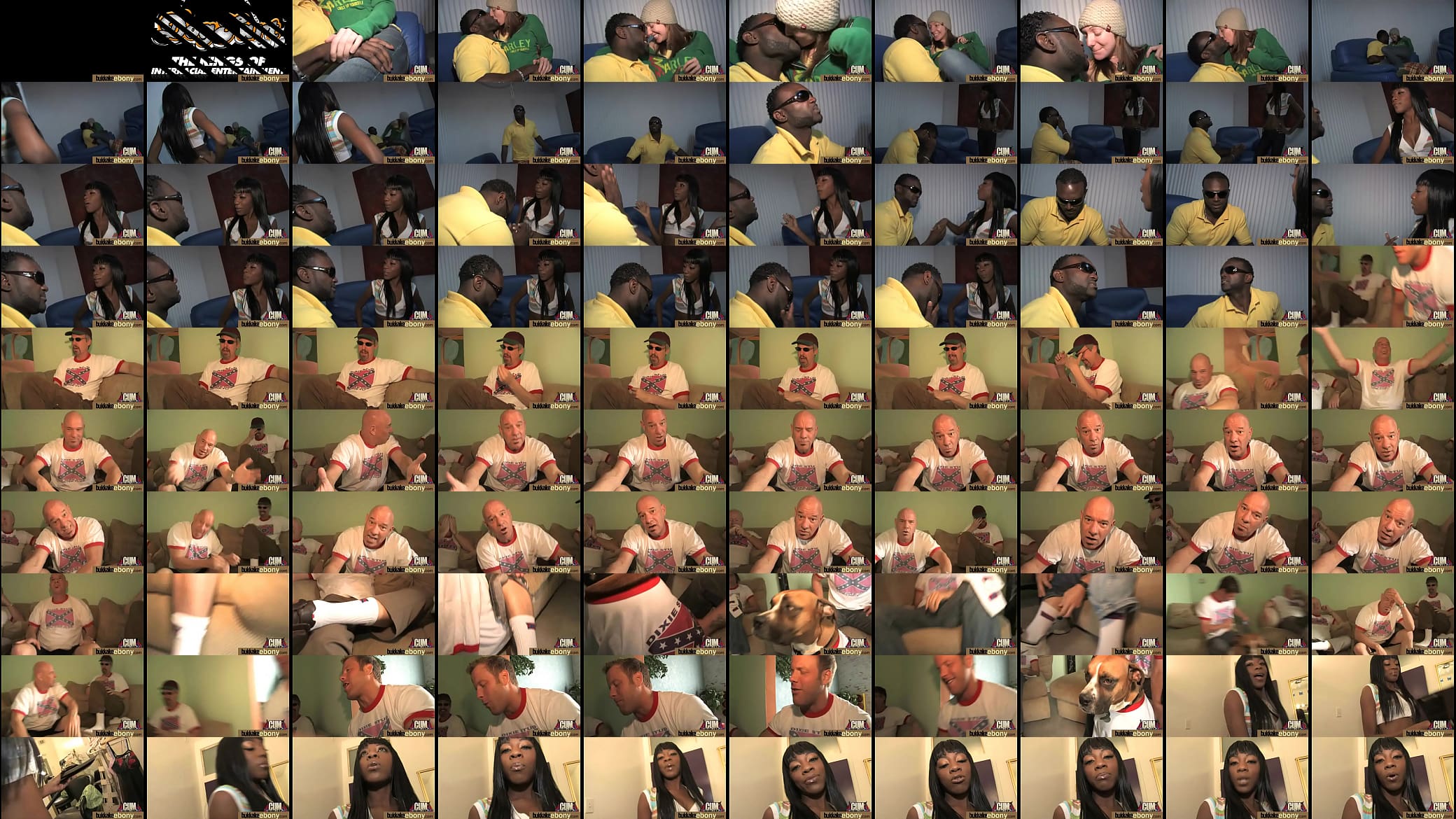 Ebony gets fucked in all holes by a group of white dudes 23 预览图