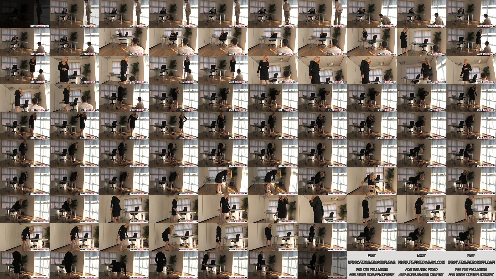 Business domina paddles her pathetic subject 预览图