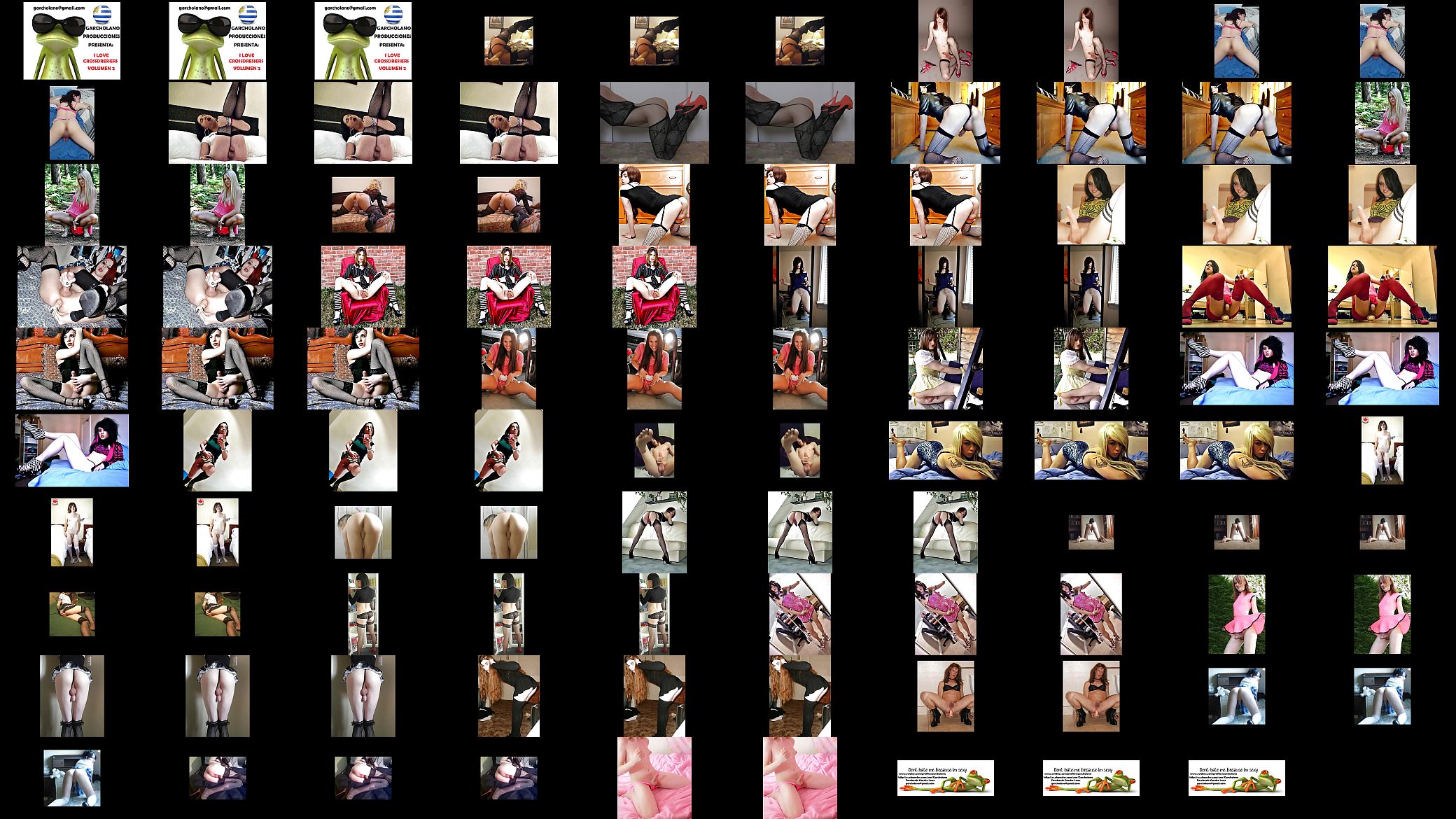 I LOVE CROSSDRESSERS VOL 2 预览图