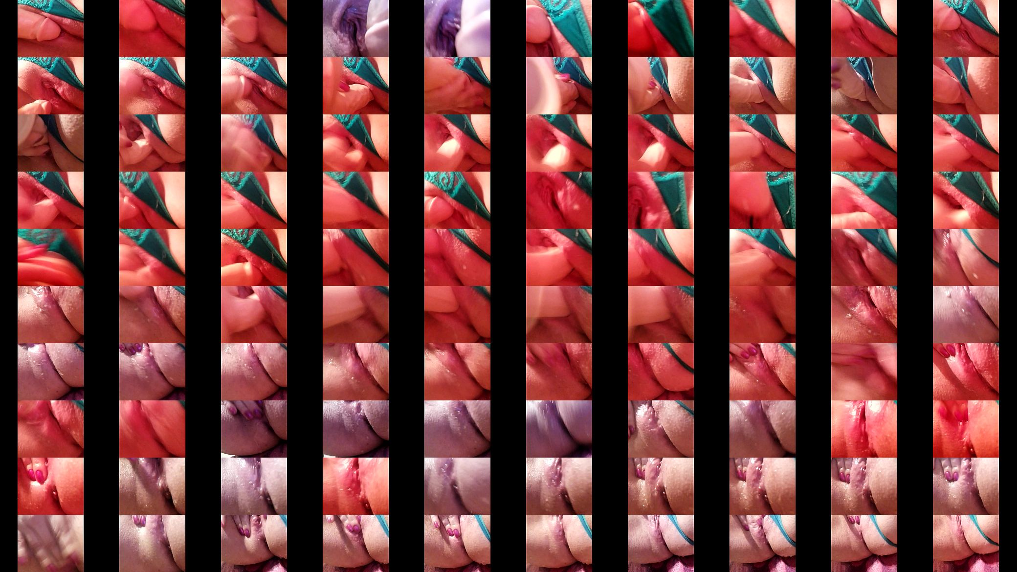 Zorrita chilena chorreante 预览图