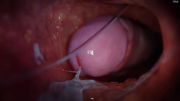 Hard sex with a friend in different poses, anim...