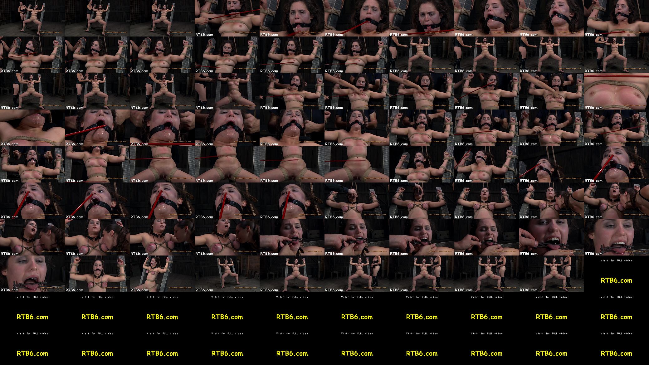 Stormy caning for lusty honey 预览图