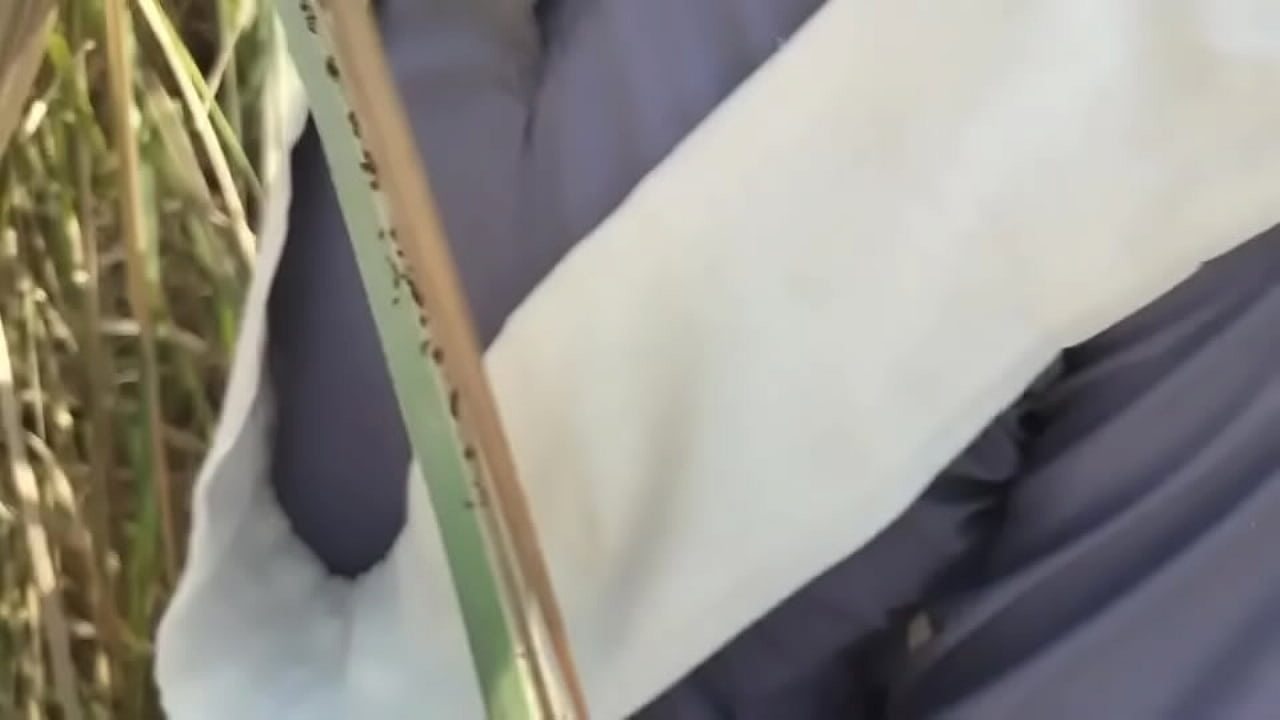 Indian girl step brother in law sex his wife sister sex fucking milf secret in home.