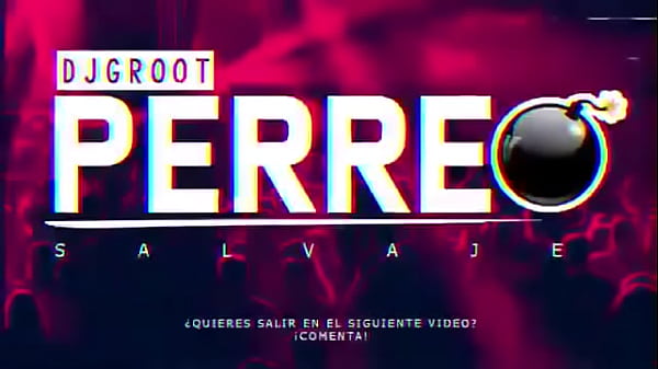 Mix Perreo Salvaje - Mix Reggaeton Antiguo