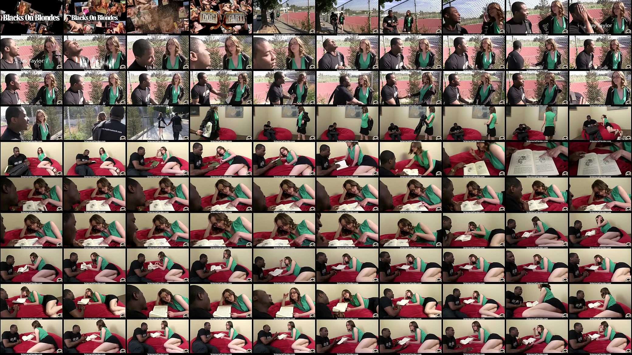 Black Stud fucks white girl silly 8 预览图