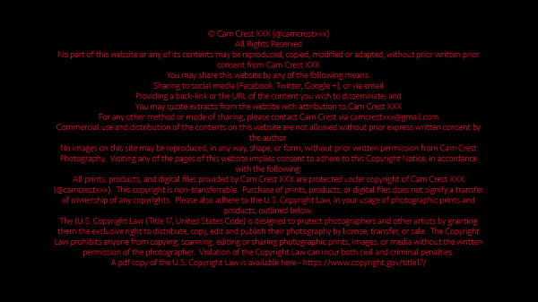 Rissi One Sucks a Hot Guy and Makes you Watch Live