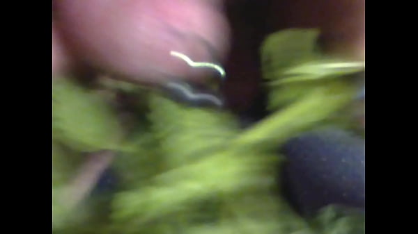thumb nettle