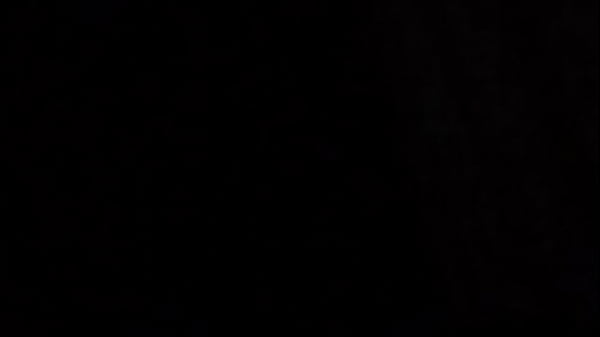 Gemidios en la oscuridad