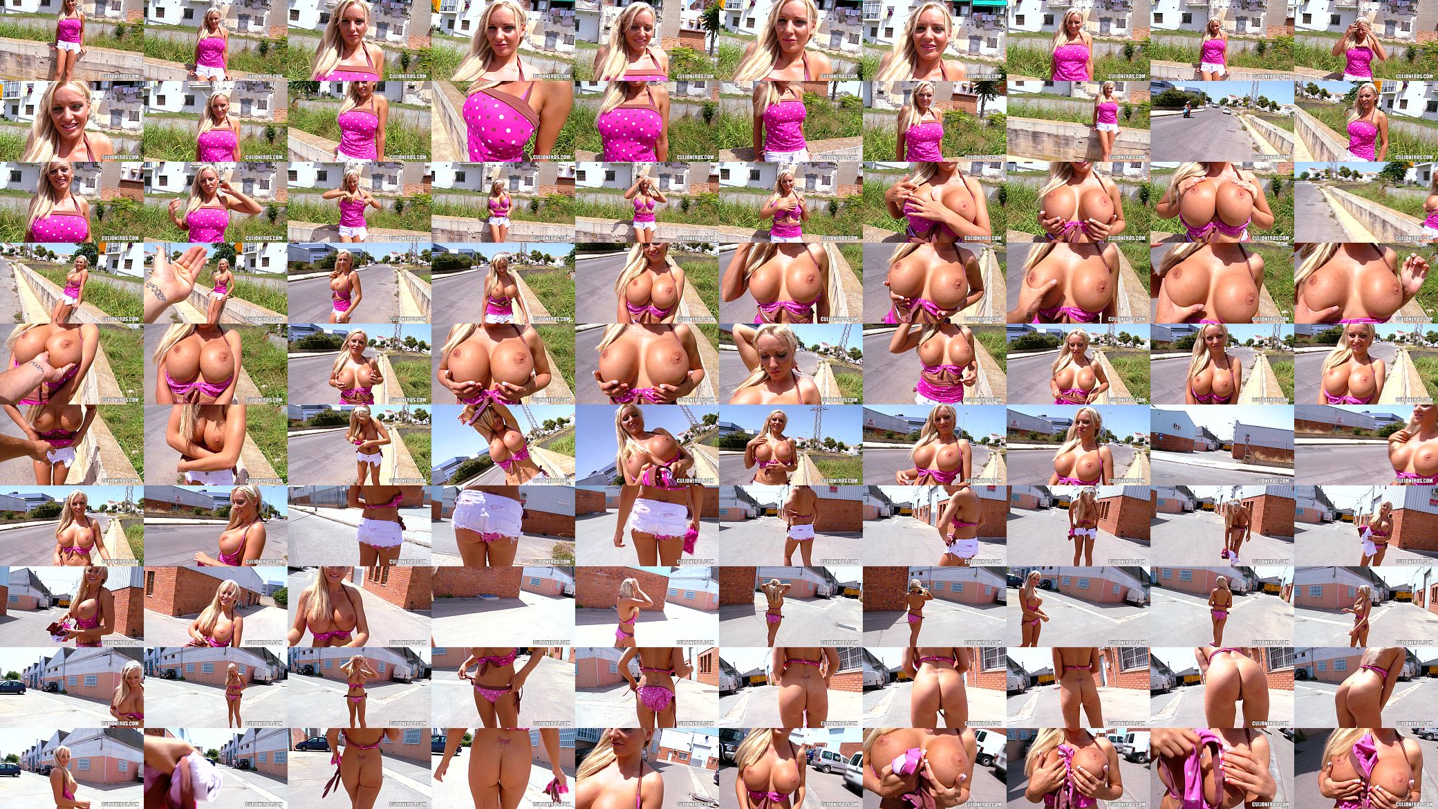 Big Blonde Tits get some sun 预览图