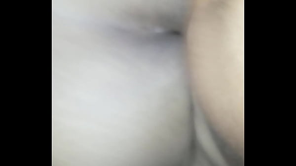 Meu Macho