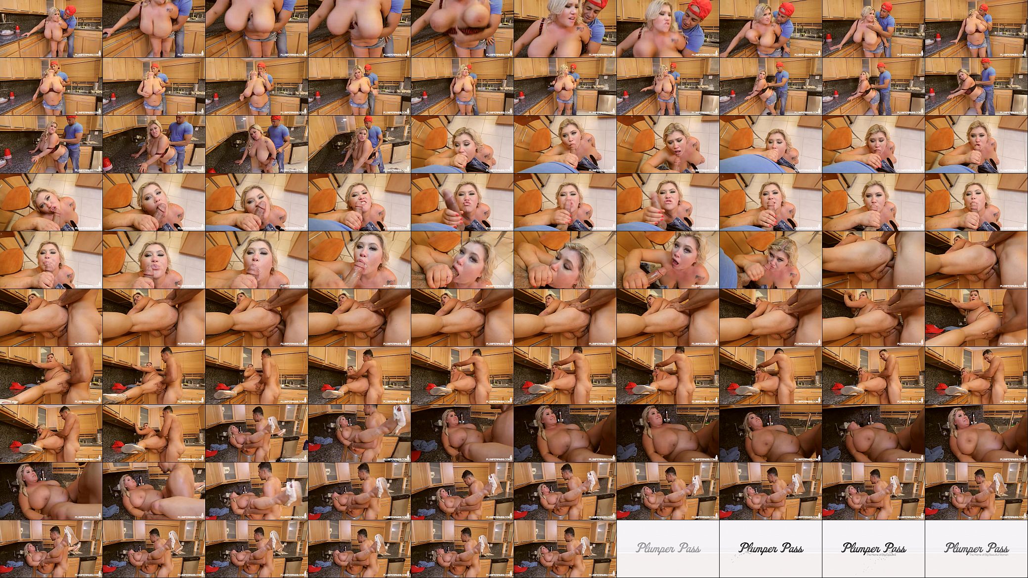 Busty Fat Wife Kacey Parker Fucks Black Plumber 预览图