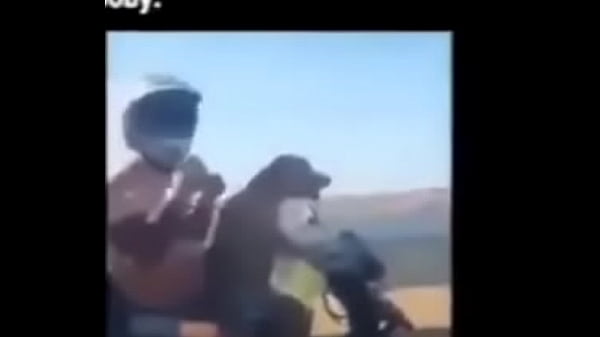 Scooby sendo enganado através de produtos ilícitos