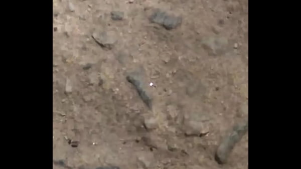 Joaninhas transando sem pudor na rua