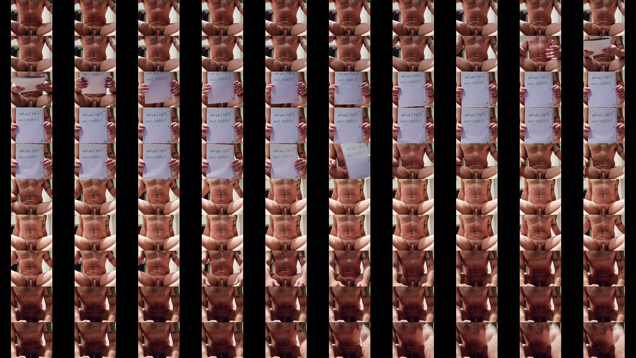 Verification video 预览图