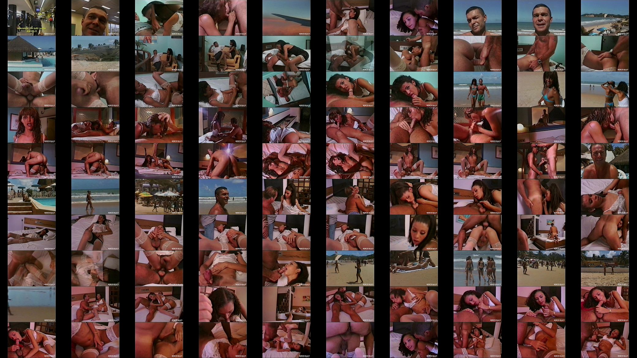 Due bolognesi in trans.....ferta (Film completo) 预览图