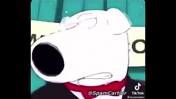 Brian from family guy