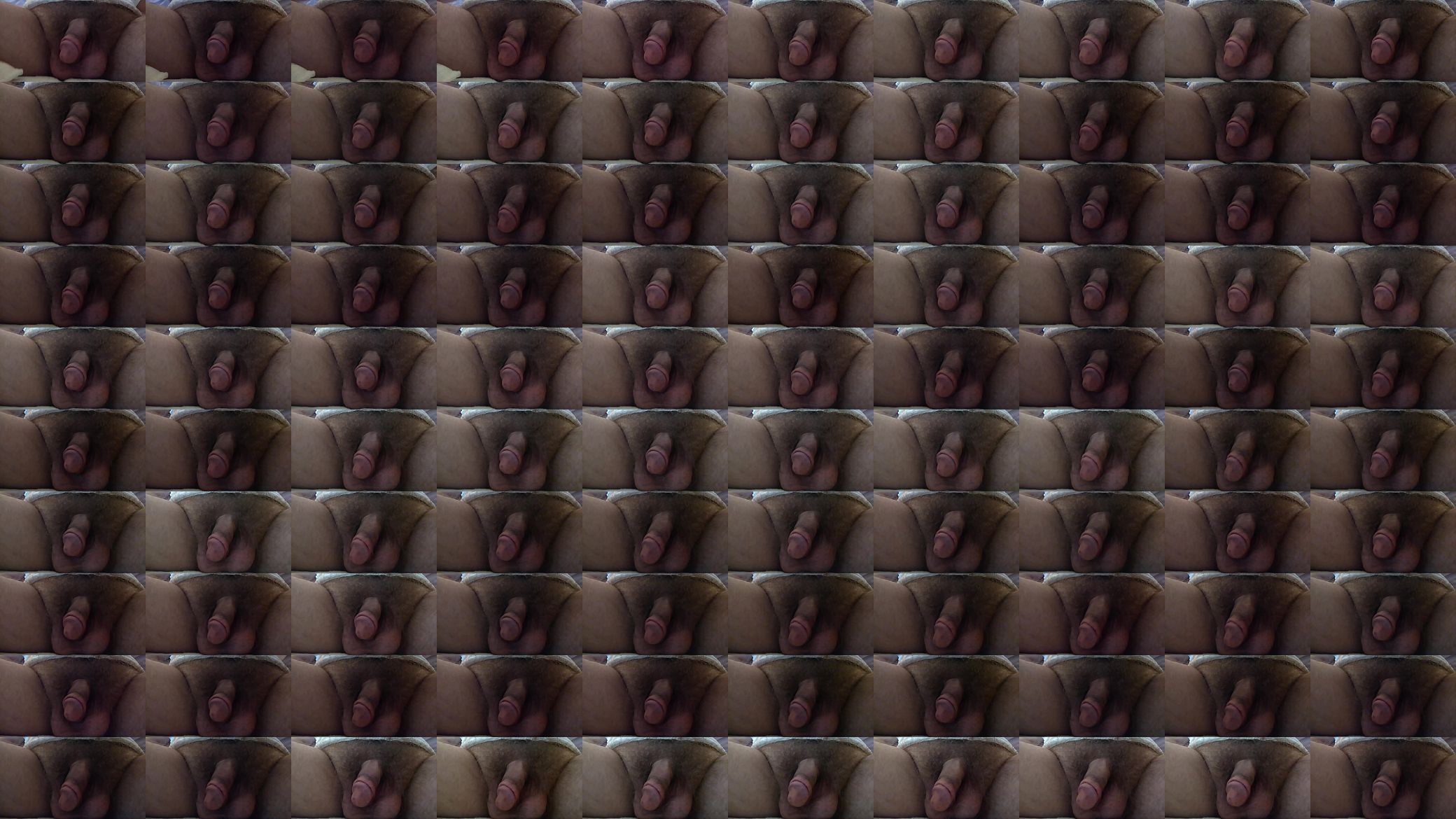Sitting Penis 8 预览图