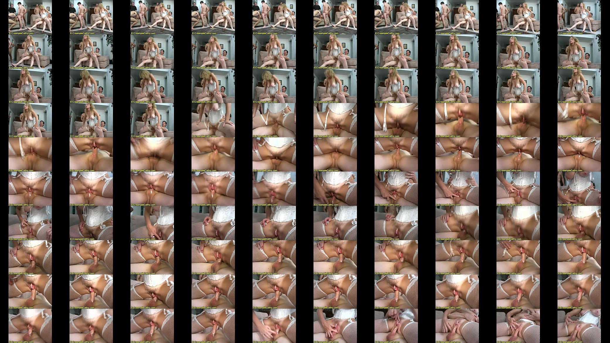 Creampie Cathy 2 预览图