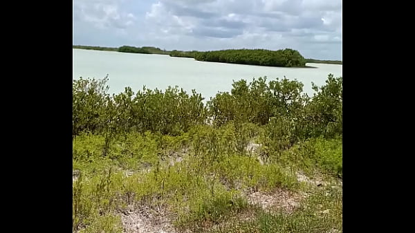 Mexicana puta camina en lencer&iacute;a en publico