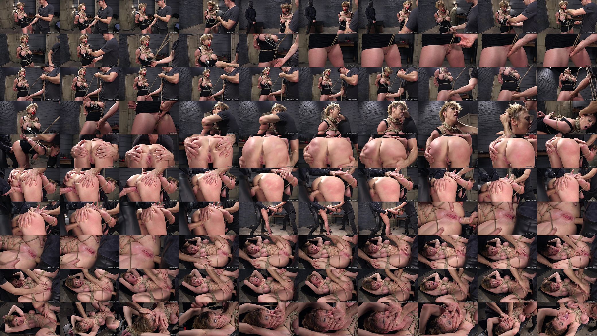 Big tits Milf anal bdsm fucked 预览图