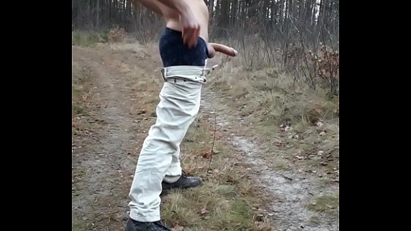 Download Video - Horny guy getting naked and playing with his big cock in a public road somewhere