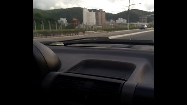 Pussy in the car