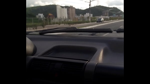 Pussy in the car