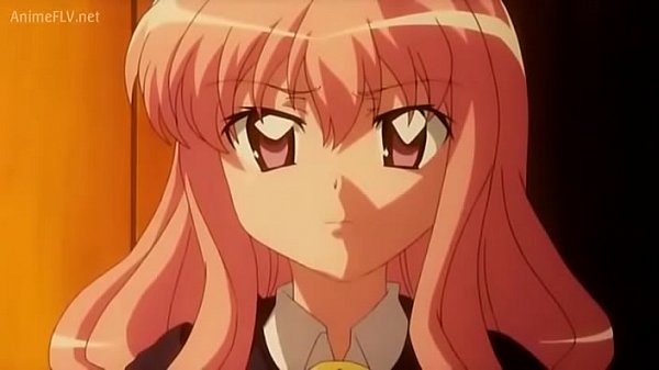 Zero no tsukaima cap 11 sub español