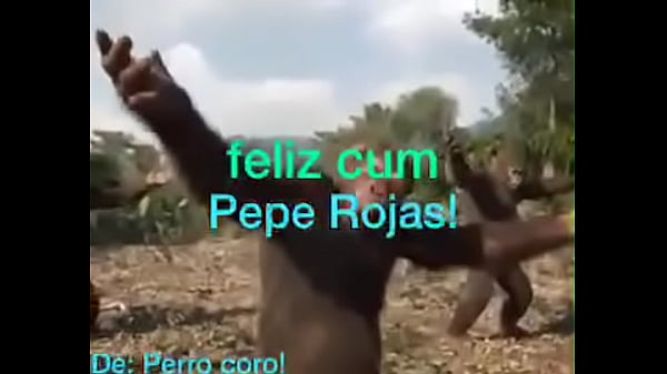 FELIZ CUMPLEAÑOS PEPE ROJAS!