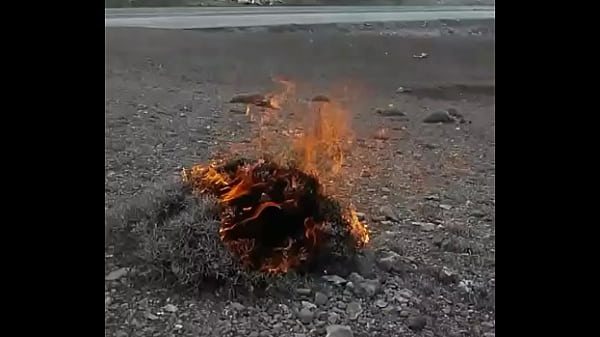 Doğrulama videosu