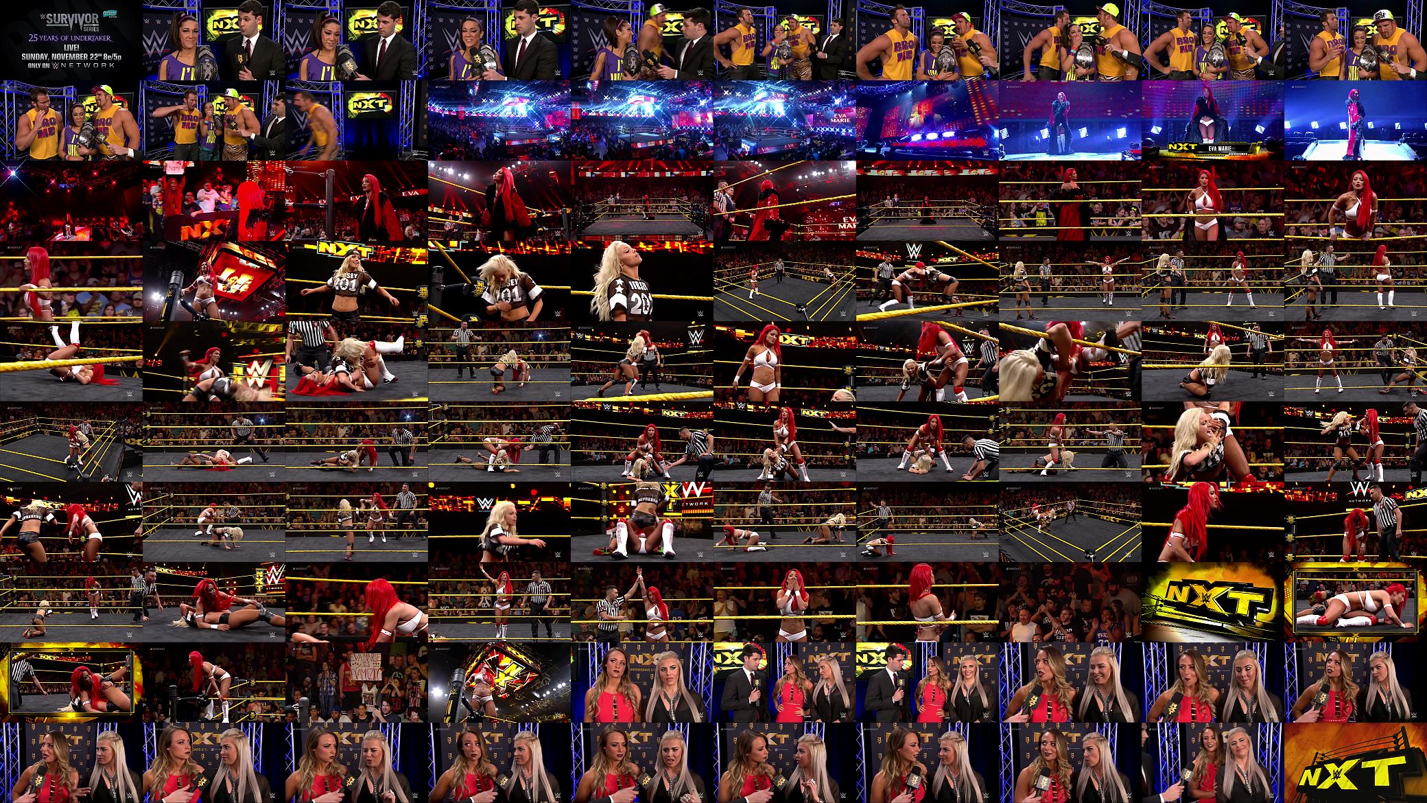Eva Marie vs Liv Morgan NXT. 预览图
