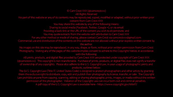 Elvira Susse Strips Down and Plays Footsie with Cam Crest&rsquo;s Cock