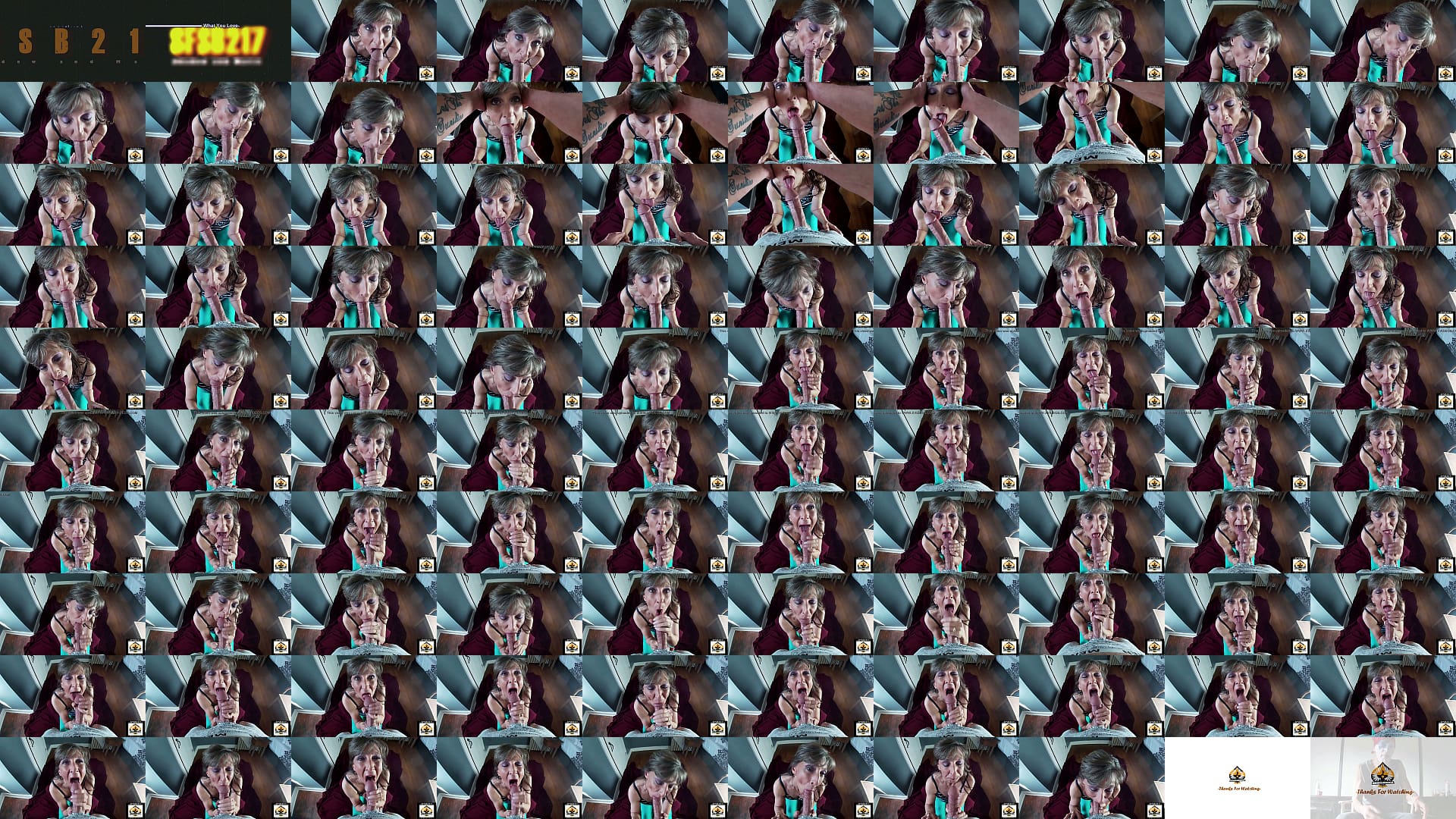Sexy Milf Marie Multiple Cumshots In Her Mouth 预览图