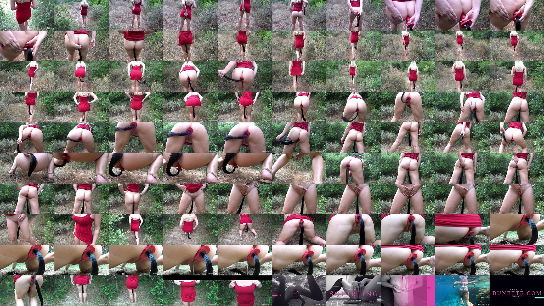 Public Ponytail Butt Plug Walk 预览图